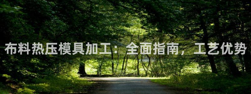 易倍申生产厂家：布料热压模具加工：全面指南，工艺优势