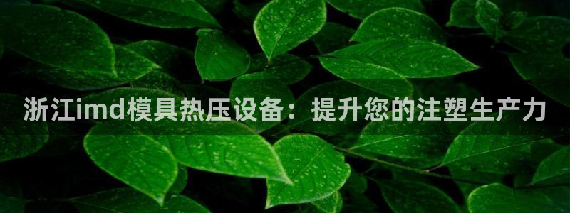 易倍全站:浙江imd模具热压设备:提升您的注塑生产力
