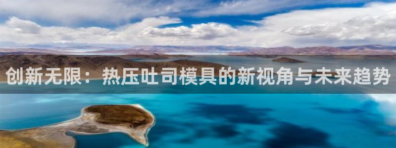 易倍申片的功效与作用：创新无限：热压吐司模具的新视角与未