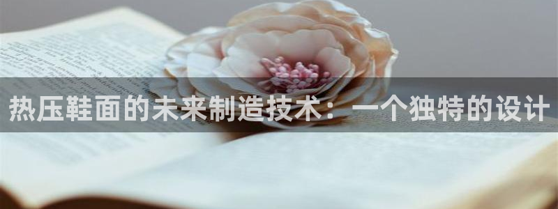 易倍单词官方网站的