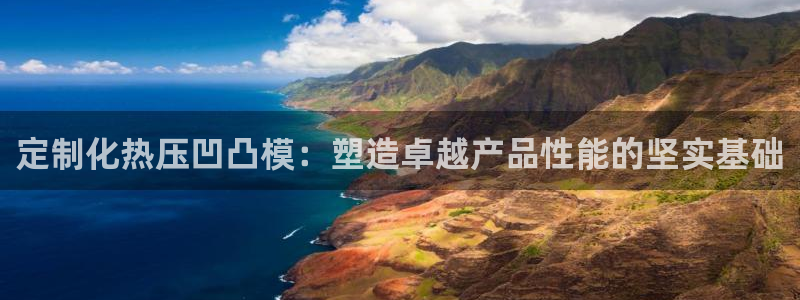 易倍网络技术有限公司:定制化热压凹凸模:塑造卓越产品性能