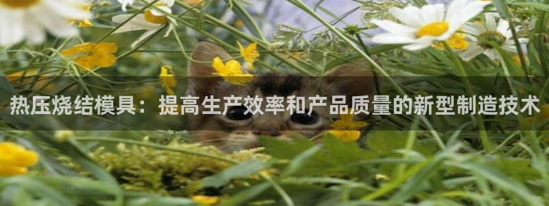 易倍申不良反应：热压烧结模具：提高生产效率和产品质量的新