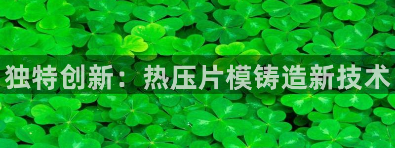 易倍申怎么样：独特创新：热压片模铸造新技术