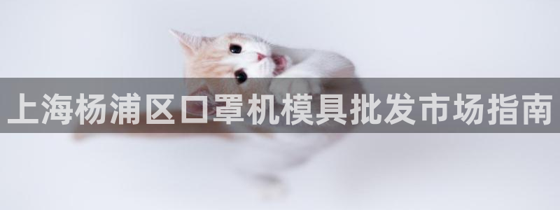 易倍纤代餐粉能减肥吗