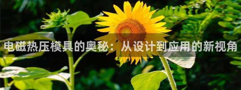 emc全站网页版：电磁热压模具的奥秘：从设计到应用的新视