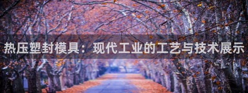 易倍企业管理软件：热压塑封模具：现代工业的工艺与技术展示