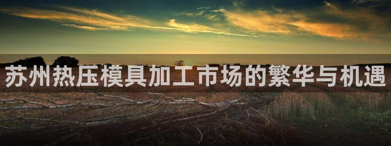 易倍app官网下载：苏州热压模具加工市场的繁华与机遇