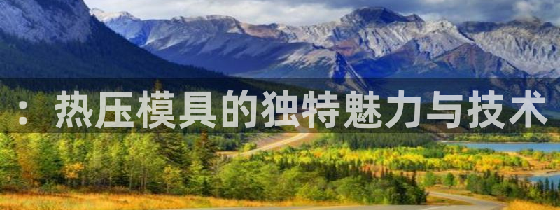 易倍纤奶昔减肥效果怎么样：：热压模具的独特魅力与技术