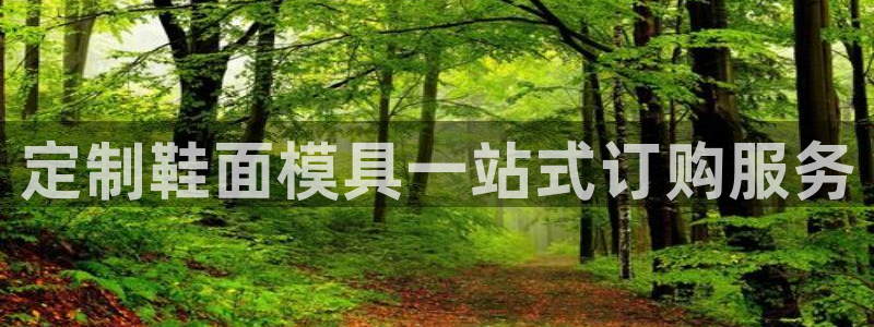 易倍思怎么样：定制鞋面模具一站式订购服务