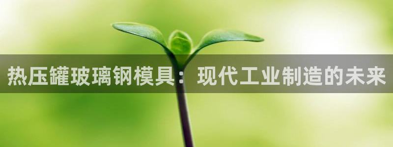 易倍网络技术有限公司怎么样：热压罐玻璃钢模具：现代工业制