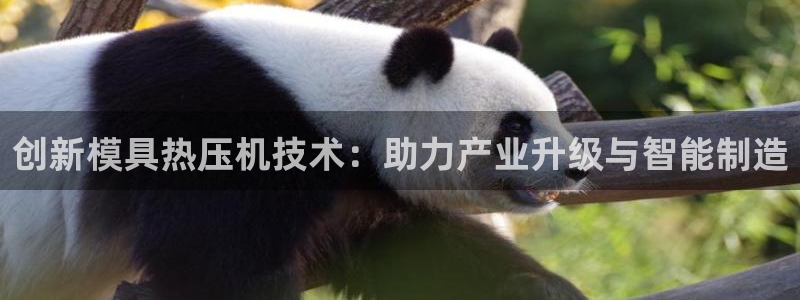 易倍申效果怎么样：创新模具热压机技术：助力产业升级与智能