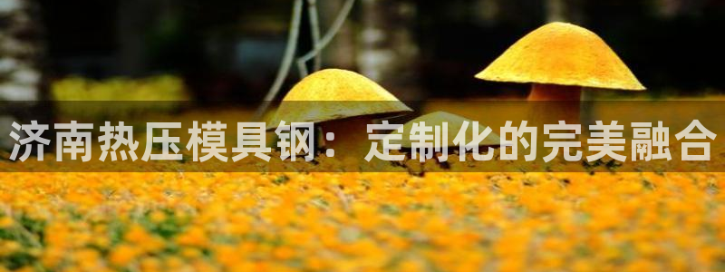 易倍单词app下载