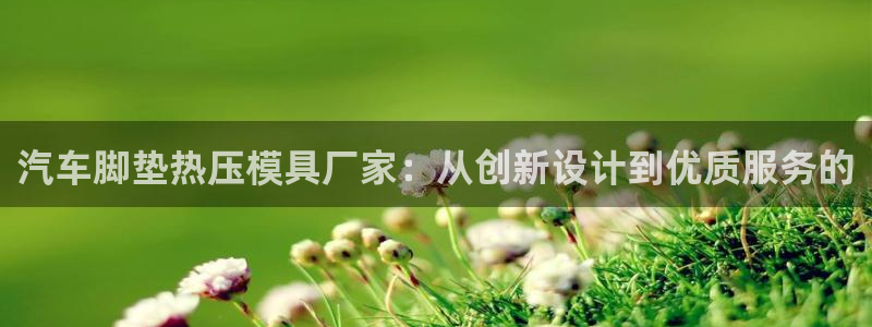 易倍单词app：汽车脚垫热压模具厂家：从创新设计到优质服