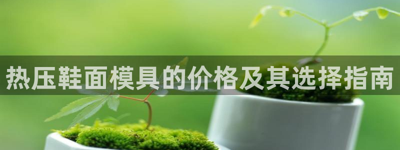 易倍达怎么样：热压鞋面模具的价格及其选择指南