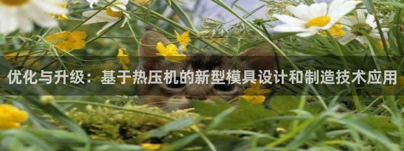 易倍下载：优化与升级：基于热压机的新型模具设计和制造技术