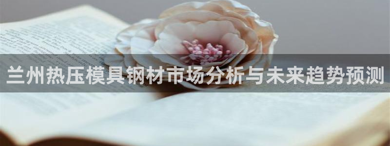 易倍思教育：兰州热压模具钢材市场分析与未来趋势预测