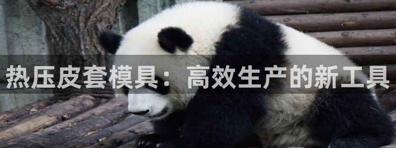 易倍app官网下载安装：热压皮套模具：高效生产的新工具