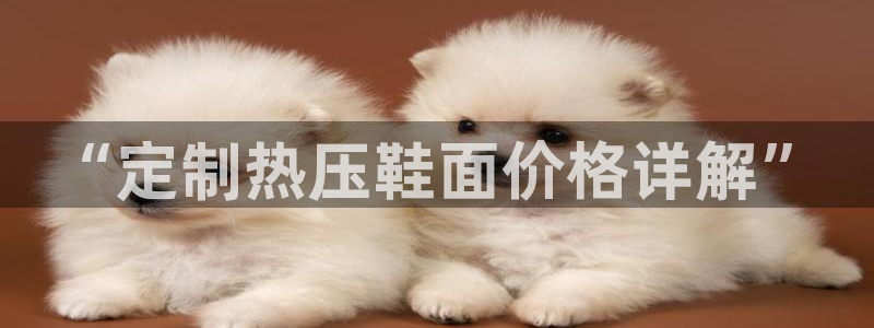 易倍纤代餐奶昔减肥效果怎么样：“定制热压鞋面价格详解”