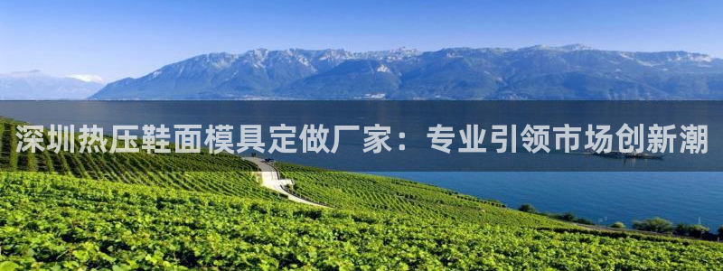 易倍单词官方网站下载安卓：深圳热压鞋面模具定做厂家：专业