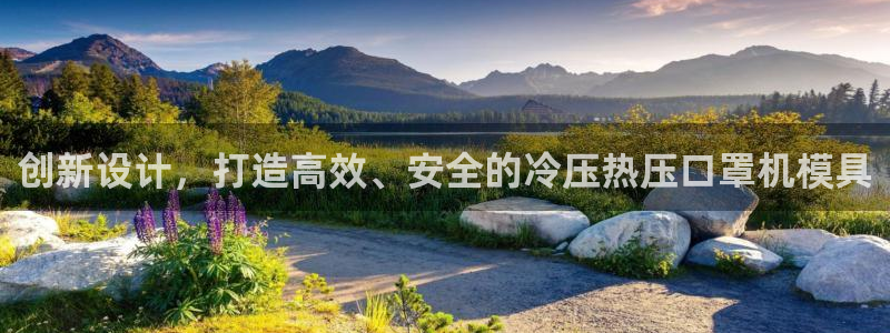 emc参数：创新设计，打造高效、安全的冷压热压口罩机模具