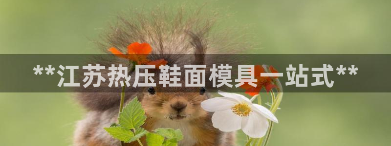 易倍单词官方网站的：**江苏热压鞋面模具一站式**