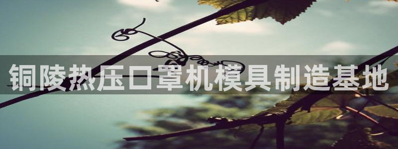 杭州易倍达上班怎么样：铜陵热压口罩机模具制造基地