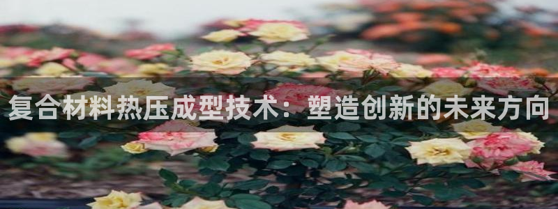 emc网页版：复合材料热压成型技术：塑造创新的未来方向