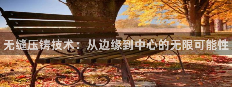 emc易倍官网：无缝压铸技术：从边缘到中心的无限可能性
