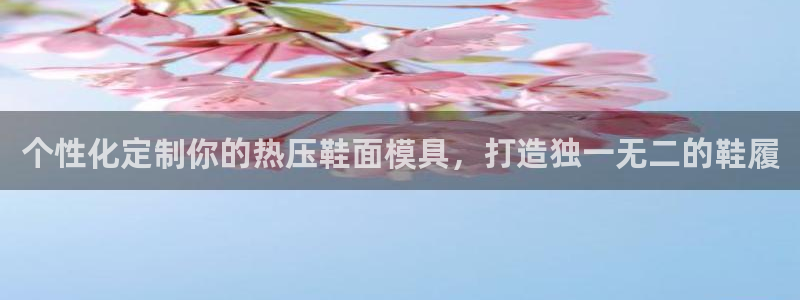emc备份软件：个性化定制你的热压鞋面模具，打造独一无二