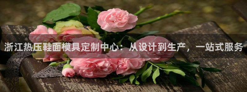 易倍网络技术有限公司招聘：浙江热压鞋面模具定制中心：从设
