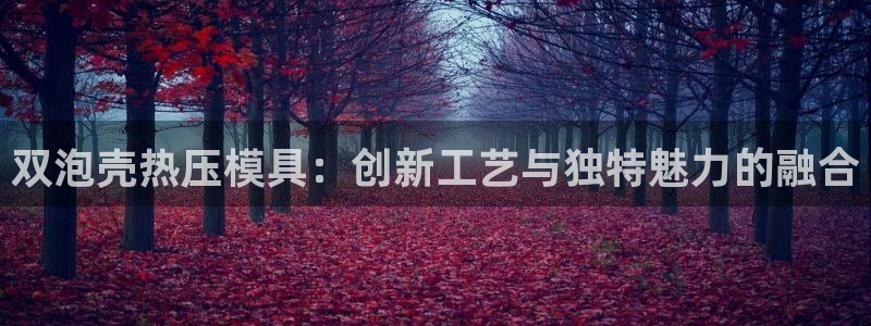 易倍申是进口药吗：双泡壳热压模具：创新工艺与独特魅力的融