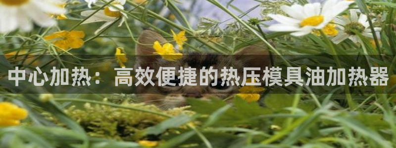 emc全站ag：中心加热：高效便捷的热压模具油加热器