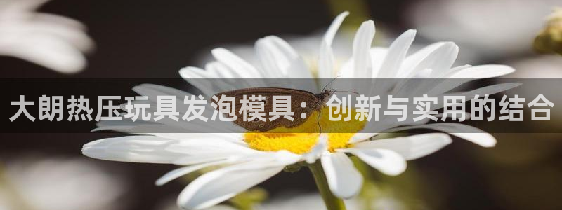 易倍思怎么样